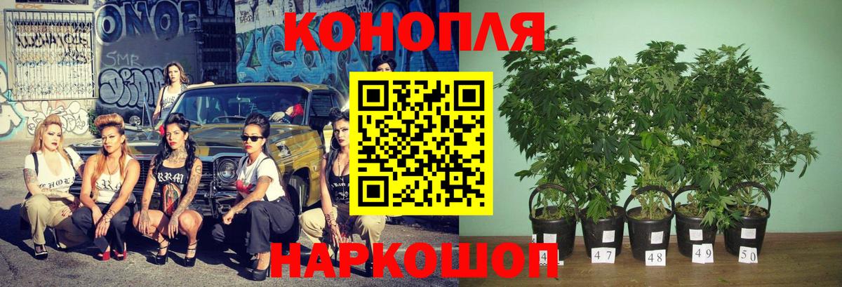 МАРИХУАНА семена  Бошки Шишки тримм  Вход с VPN  Марихуана Ganja  Кушва 